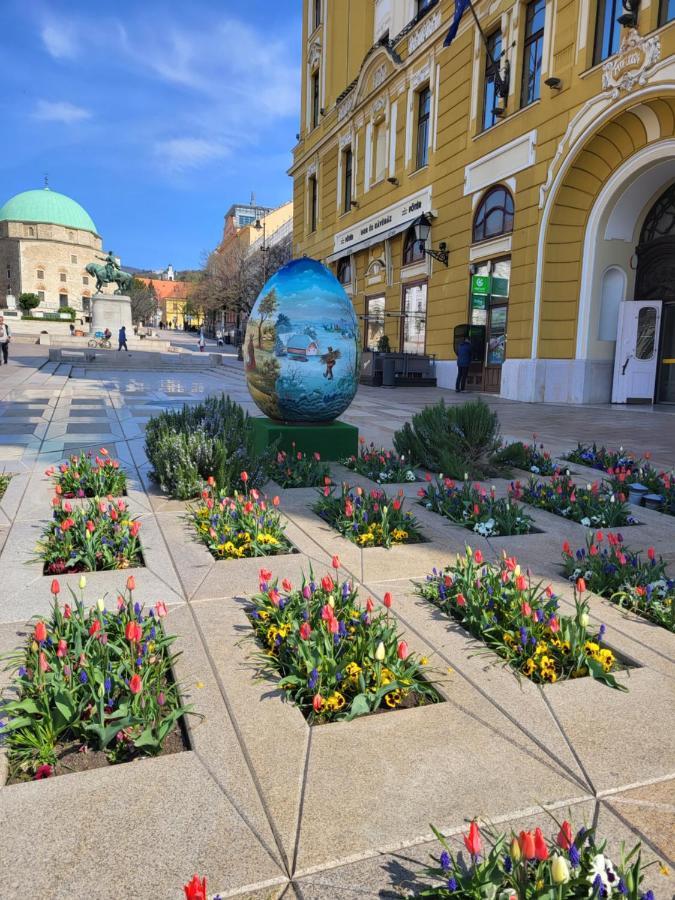 Downtown Studio Apartman Pécs Zewnętrze zdjęcie